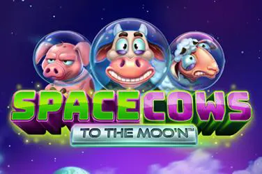 Space Cows to the Moo'n - Spin City - Congo